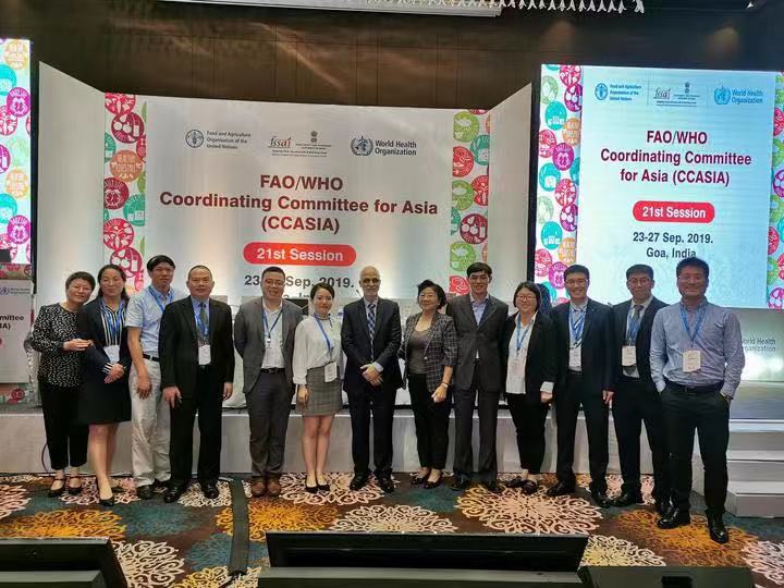 嘉兴粽子”将走向世界！粽子国际标准获得立项